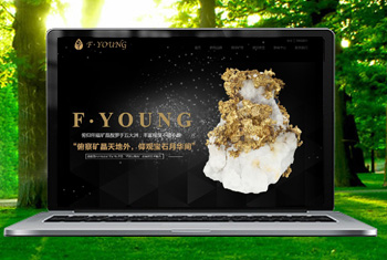 �ٸ߸������ﱦʯ